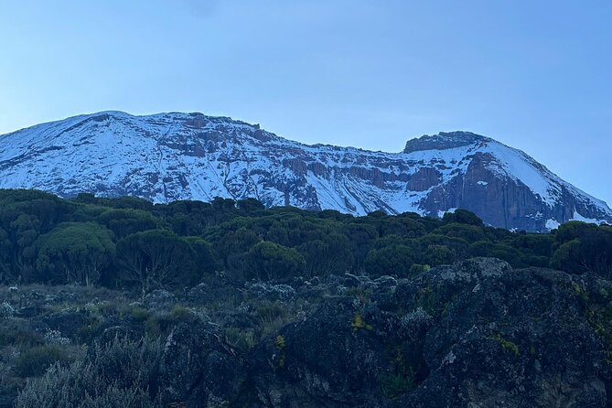 One Kilimanjaro Day hike Tour ISMANI TOURS AND SAFARIS - Key highlights worth planning around