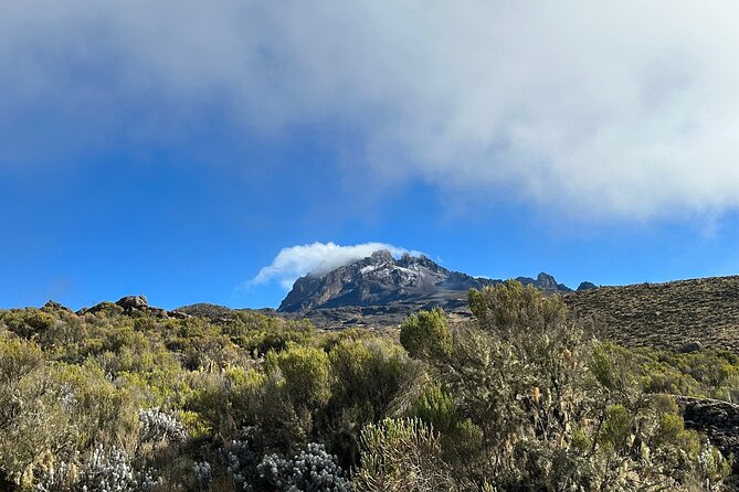 One Kilimanjaro Day hike Tour ISMANI TOURS AND SAFARIS - What to bring: small gear choices that matter on this route
