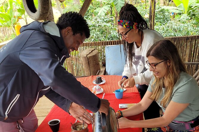 Organic Coffee Tour and Local Food Experience in Arusha - Bean picking, jungle views, and the treehouse tasting finish