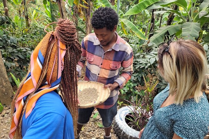 Organic Coffee Tour and Local Food Experience in Arusha - Logistics that matter: meeting point, pickup, and private groups