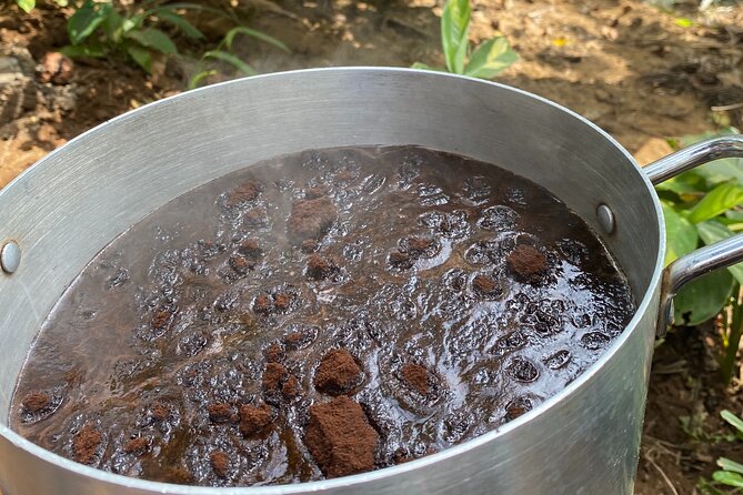 Organic Coffee Tour and Local Food Experience in Arusha - The one drawback to weigh: small farm expectations and extra fees