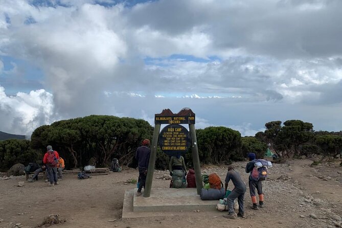 Our Top 5-Day Kilimanjaro Marangu Route: 2025 and 2026 Updates - Day 2 to Horombo Huts: the shift from rainforest to open moor