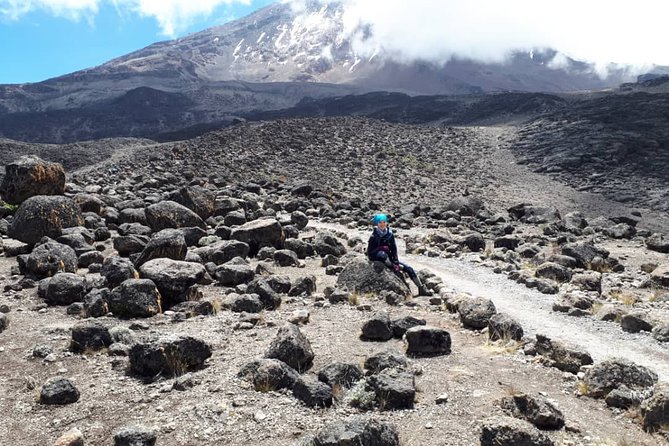 Our Top 5-Day Kilimanjaro Marangu Route: 2025 and 2026 Updates - Day 5 descent back to Marangu Gate and transfer to Moshi