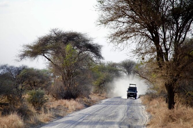 Outstanding day trip to Tarangire National Park - The 6:00 AM start, and what it means for your day