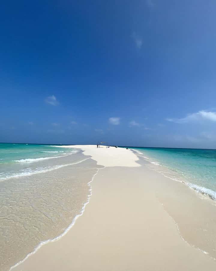 Prison island and nakupenda beach sandbank - Guides and languages: the difference between okay and genuinely helpful