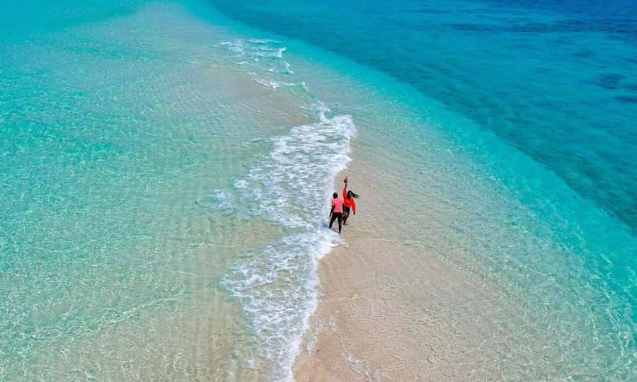 Prison island and Nakupenda sandbank - Who Should Book This Trip, and Who Might Skip It