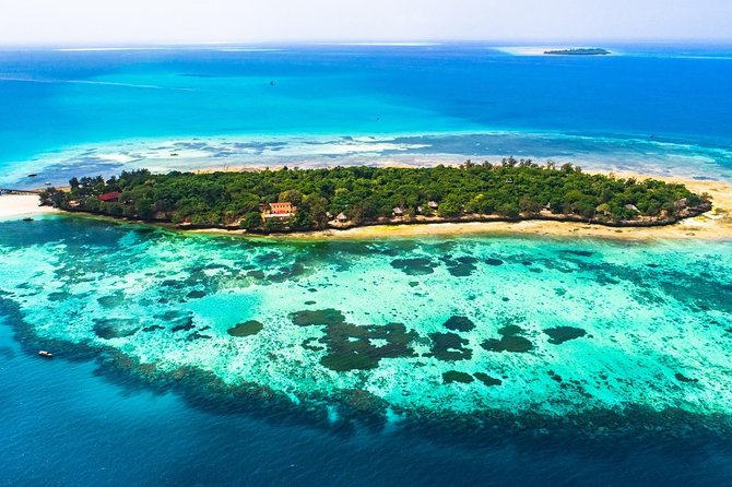Prison Island Half-Day Tour from Zanzibar - Why Prison Island works as a half-day escape from Stone Town