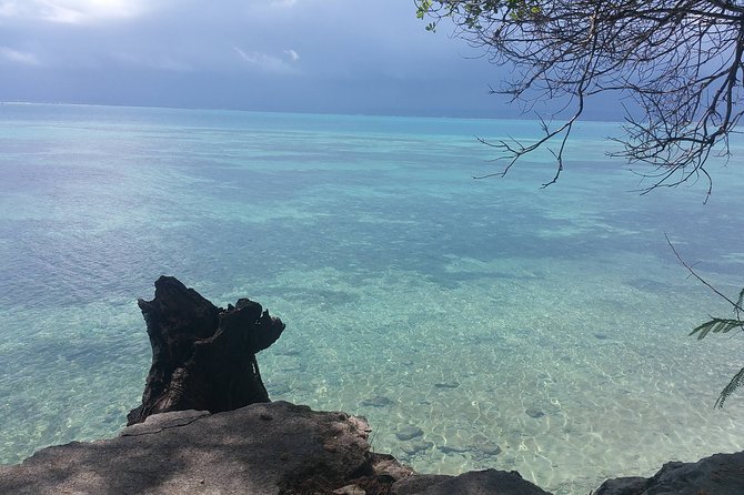 Prison Island Half-Day Tour from Zanzibar - Feeding tortoises and the island extras: optional, but memorable