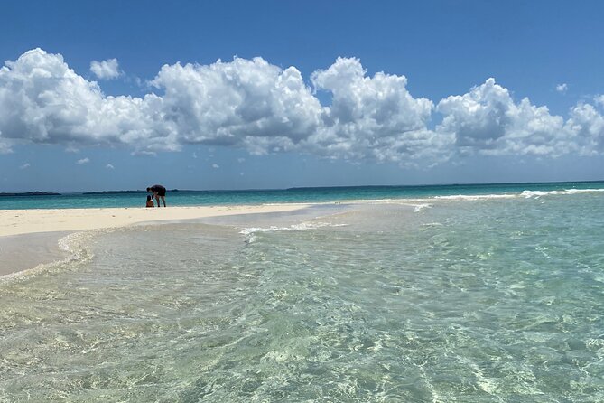 Prison Island + Nakupenda Tour - Practical tips so your day runs smoothly