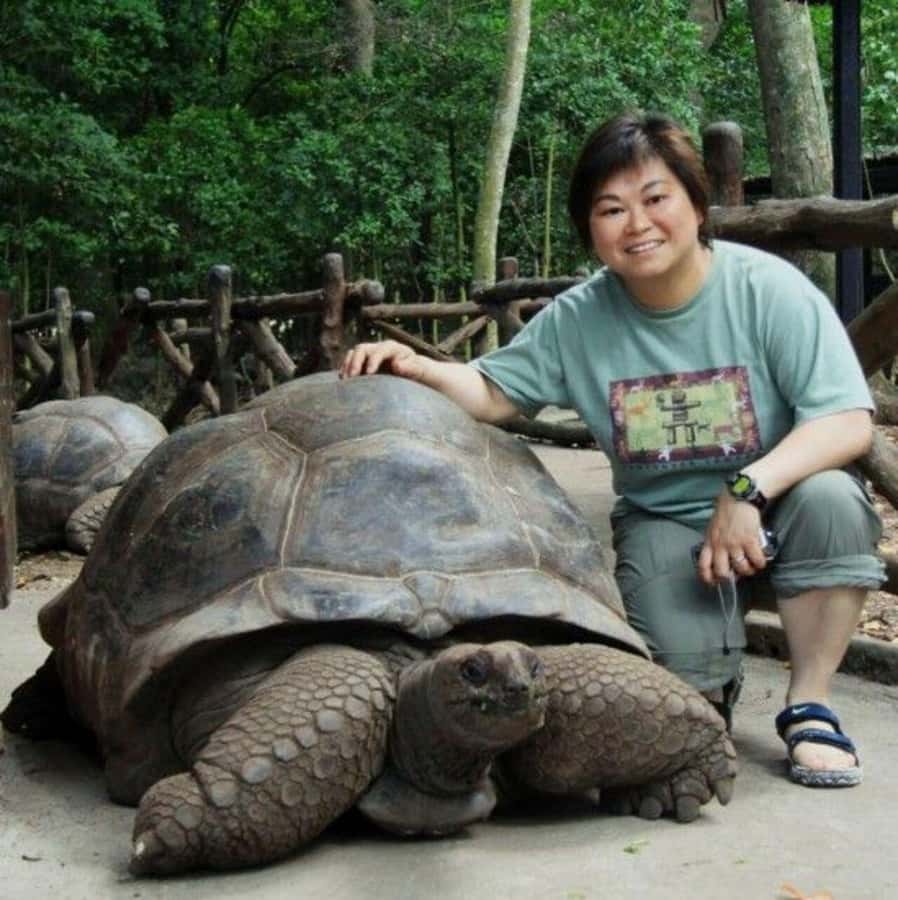 Prison Island, Sea Turtles, Rock Restaurant & Relax in Beach - Key highlights to plan for