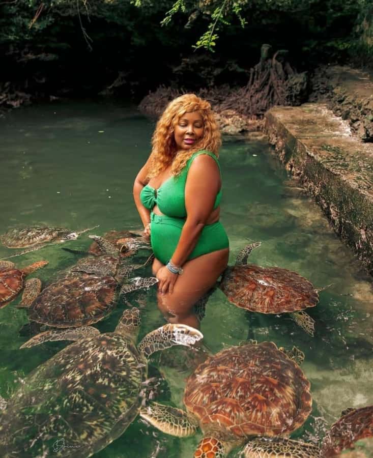 Prison Island, Sea Turtles, Rock Restaurant & Relax in Beach - Prison Island from Stone Town: Aldabra Giants and an Island Past