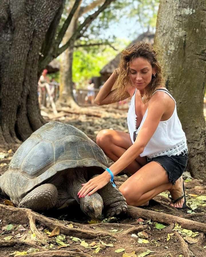 Prison Island, Sea Turtles, Rock Restaurant & Relax in Beach - Who this tour fits, and who should rethink it