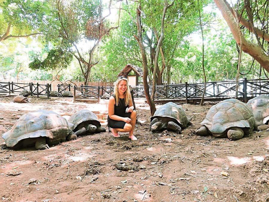 Prison Island, Sea Turtles, Rock Restaurant & Relax in Beach - Should you book this Prison Island, Salaam Cave, Rock Restaurant and beach tour?