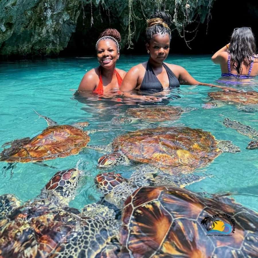 Prison Island, Sea Turtles, Rock Restaurant & Relax in Beach - Salaam Cave in Kizimkazi: Sea Turtle Swimming in a Sacred, Small-Area Setting
