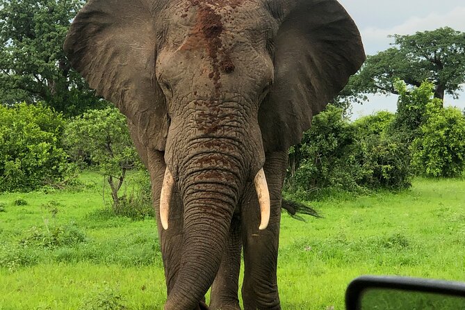 Private 3 Days 2 Nights Mikumi Adventures - Mikumi National Park as a fast, satisfying safari route