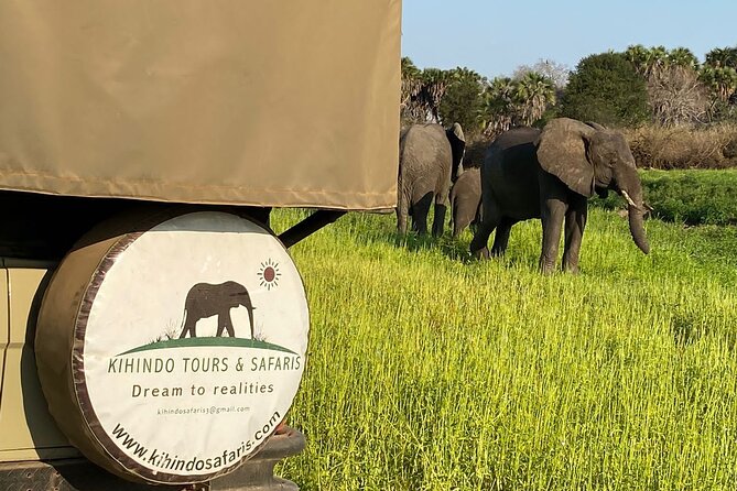 Private 3 Days 2 Nights Mikumi Adventures - Day 2: full-day Mikumi viewing, picnic lunches, and the plain-park advantage
