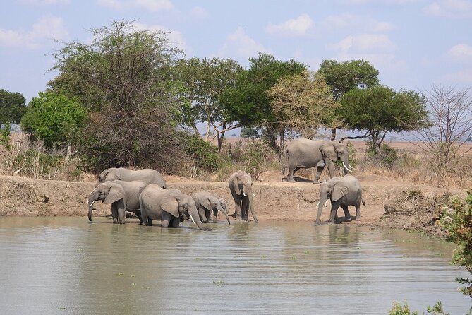 Private 3 Days 2 Nights Mikumi Adventures - Maasai village cultural tour: what to expect and how to make it respectful