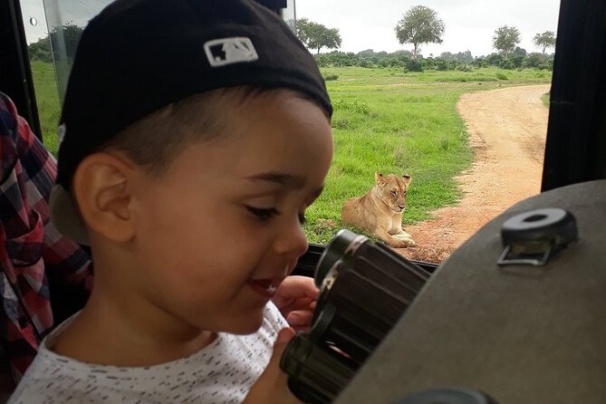 Private 3 Days 2 Nights Mikumi Adventures - Day 1: evening game drive, sunset timing, and Mikumi Bandas