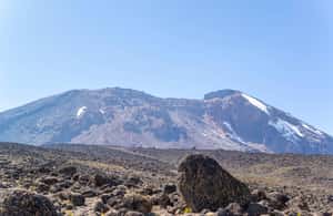 Private 4x4 Vitara Safari in Arusha National Park - Giraffes Against Mount Meru: The Open-View Payoff