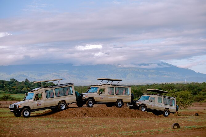 Private 5-Days Serengeti Trails with Kojuu Safaris - What’s included (and why it helps your budget)