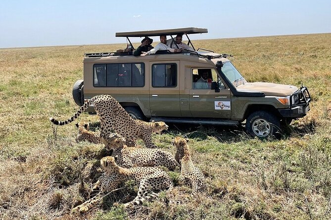 Private 6-Day Tarangire Manyara Crater and Serengeti with Mid-Range Lodges - Private guiding that actually changes your day
