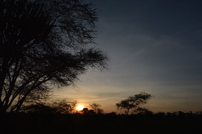 Private 7-Day Tanzania Camping Safari - Lake Manyara: a scenic Rift Valley change and a different feel