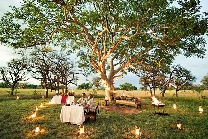 Private 7 Days Classic Safari Tour in Tanzania - Day 1 in Arusha: Arrival That Doesn’t Waste Your Day
