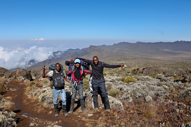 Private 8 day Northern Circuit Kilimanjaro Climb - The Northern Circuit route: why this 8 day loop feels more like a real journey