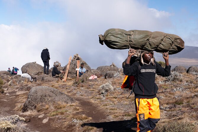 Private 8 day Northern Circuit Kilimanjaro Climb - Days 2 and 3: forest fading into heather and the Shira Plateau view of your end goal