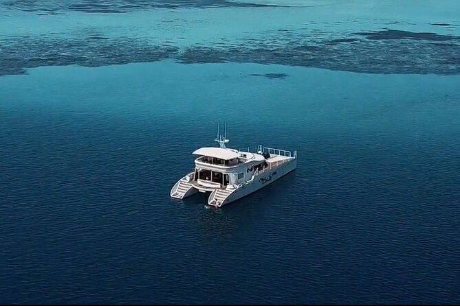 Private Catamaran - Stone Town Islands & Sandbanks (5 hrs) - Luxury that shows up at lunchtime, not just in photos