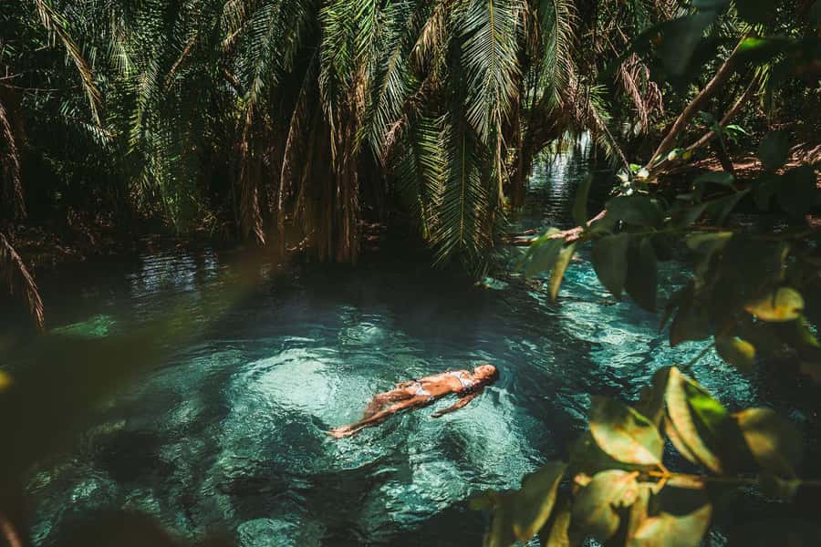 Private Chemka/Kikuletwa hotsprings with lunch & drinks - Key things to know before you go