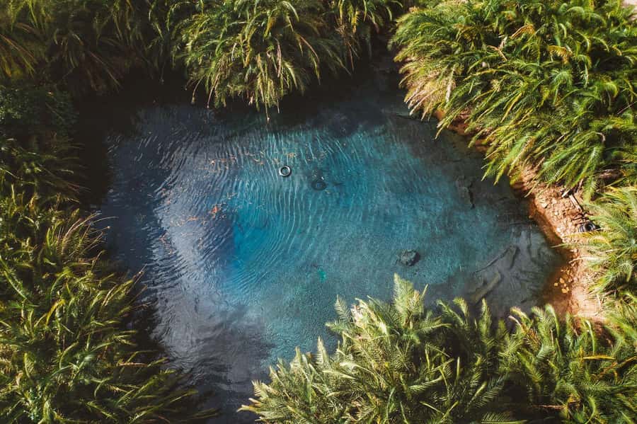 Private Chemka/Kikuletwa hotsprings with lunch & drinks - Swimming, swinging, and relaxing without rushing