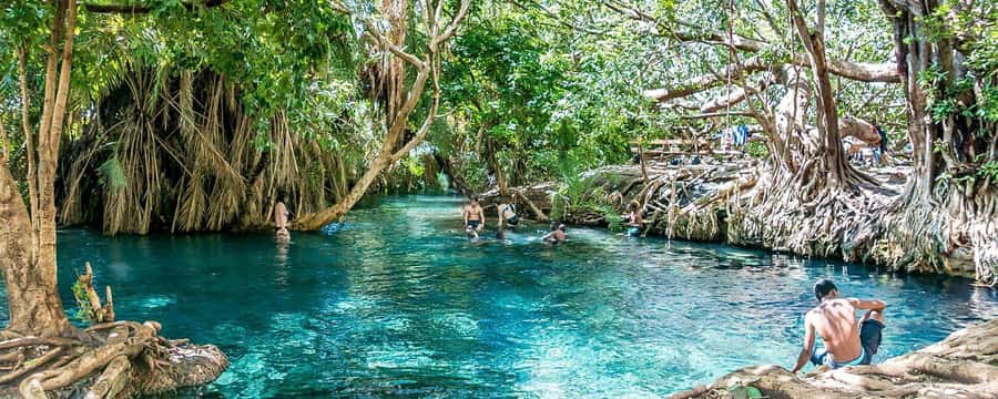 Private Chemka/Kikuletwa hotsprings with lunch & drinks - Hot lunch and drinks, with water included