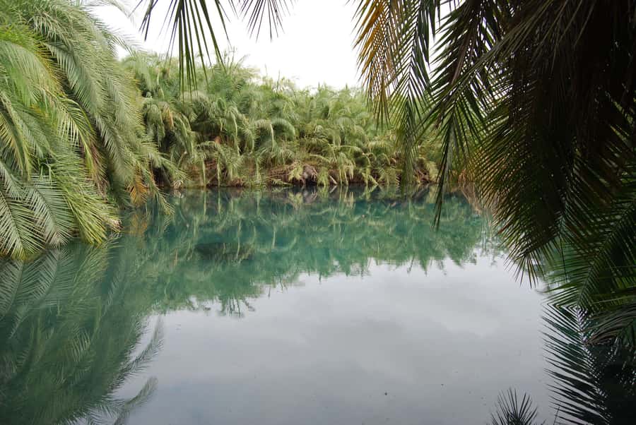 Private Chemka/Kikuletwa hotsprings with lunch & drinks - Price and value: what $97 covers, and why it adds up