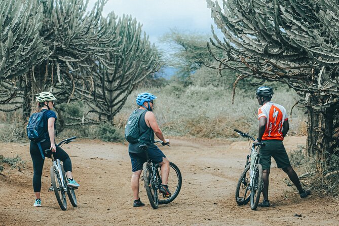 Private Cycle to Kilimanjaro Bike Park Safari - Why West Kilimanjaro biking feels like a true safari