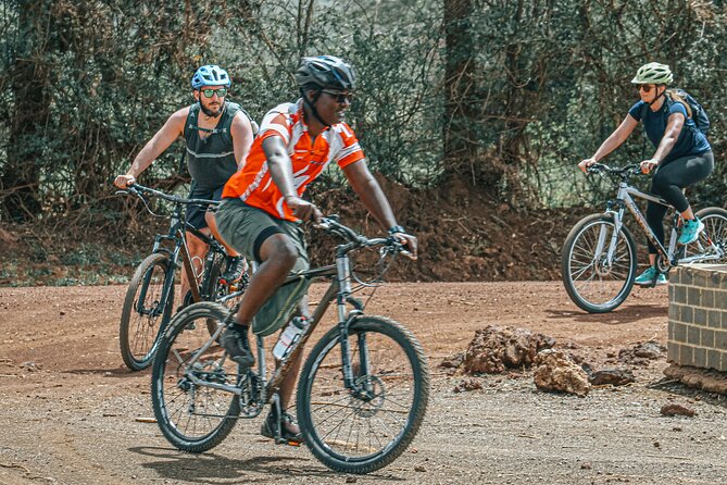 Private Cycle to Kilimanjaro Bike Park Safari - Price and what $250 really buys you in Moshi