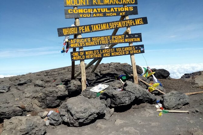 Private Day Tour and Hike in Kilimanjaro National Park - Key points at a glance