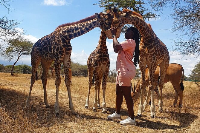 Private Day Tour in Serval Wildlife and Kikuletwa Hot Spring - Kikuletwa Hot Springs (Chemka) and the value of about 3 hours to relax