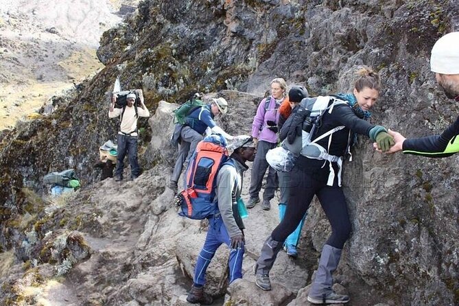 Private Day Tour Kilimanjaro Hike - A Day on the Marangu Route, Not a Summit Push
