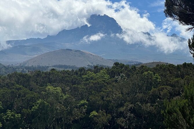 Private Day Tour Kilimanjaro Hike - Price and Value: Why $264 Can Feel Fair