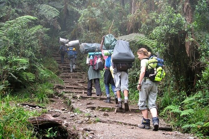 Private Day Tour Kilimanjaro Hike - The Tour Team: What Names Like John, Luck, and Emmanuel Suggest