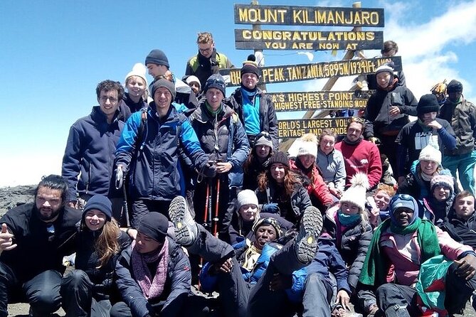 Private Day Tour Kilimanjaro Hike - Up the Trail to Mandara Hut: Rainforest Walking and Wildlife Encounters