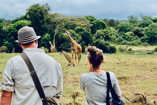 Private Day Trip to Arusha National Park with a Walking Safari - Key things to know before you go