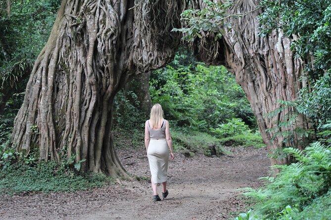 Private Day Trip to Arusha National Park with a Walking Safari - Your best wildlife moments depend on luck, timing, and weather