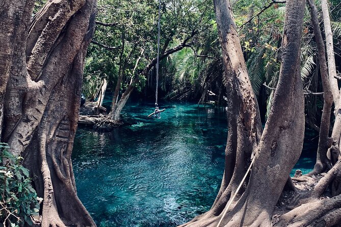 Private Day Trip to Kikuletwa Hot Springs in Kilimanjaro - Lunch and the small comforts that make the day easier
