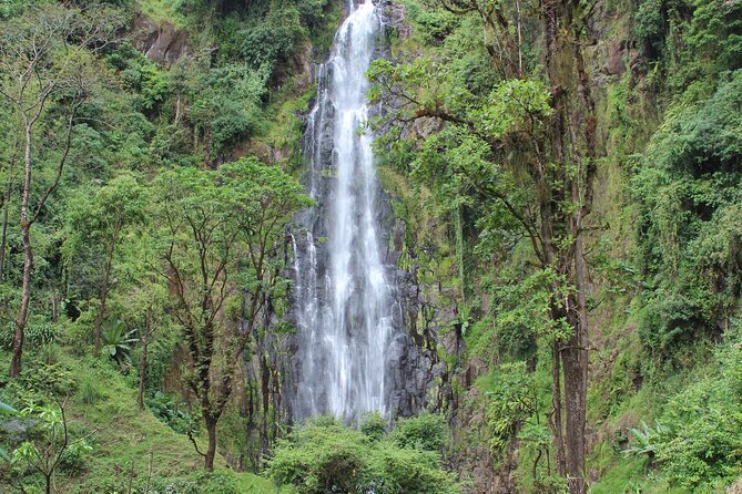 Private Day Trip to Materuni Waterfall and Coffee Tour - Key highlights at Materuni Waterfall and the coffee plantation
