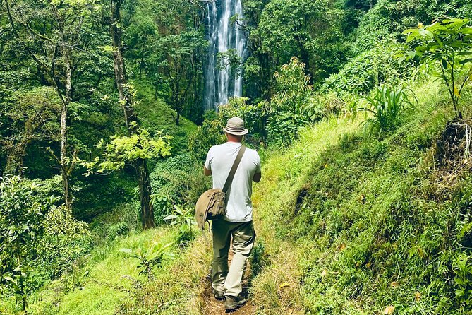 Private Day Trip to Materuni Waterfall and Coffee Tour - Materuni Waterfall hike from the village paths: up close on Kilimanjaro’s slopes