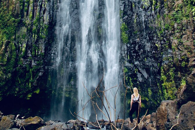 Private Day Trip to Materuni Waterfall and Coffee Tour - What you get for $150 per person in Moshi