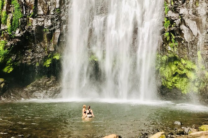 Private Day Trip to Materuni Waterfall and Coffee Tour - Weather matters, and that’s why the tour has a simple safeguard