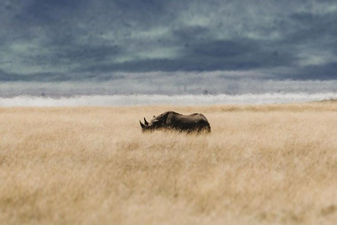 Private Day Trip to Ngorongoro Crater - Ngorongoro Conservation Area and Lodware gate: views plus cultural context